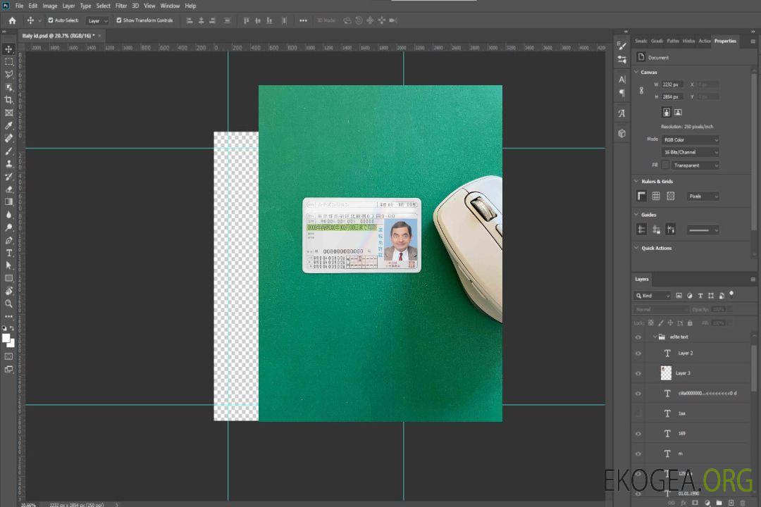 Japon DL photolook AVANT template